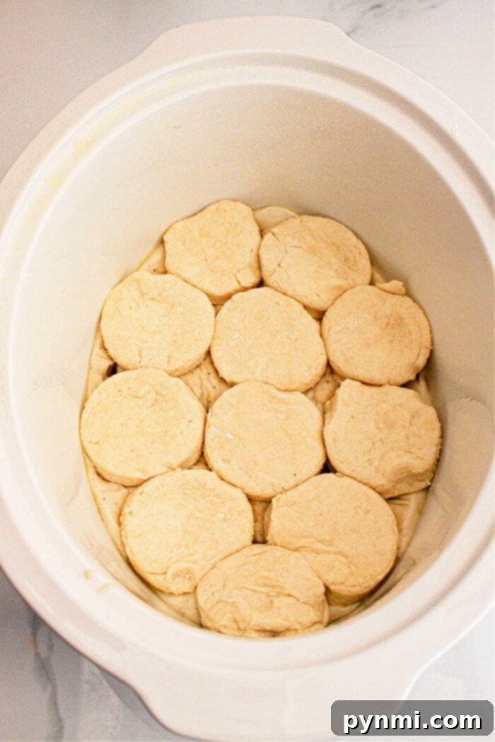 Set-It-and-Forget-It Biscuits and Gravy 6 An open white slow cooker reveals raw biscuit dough neatly arranged in a single layer over the gravy, ready for cooking to create delicious Slow Cooker Biscuits and Gravy. The interior of the cooker is clean, against a grayish-white background.