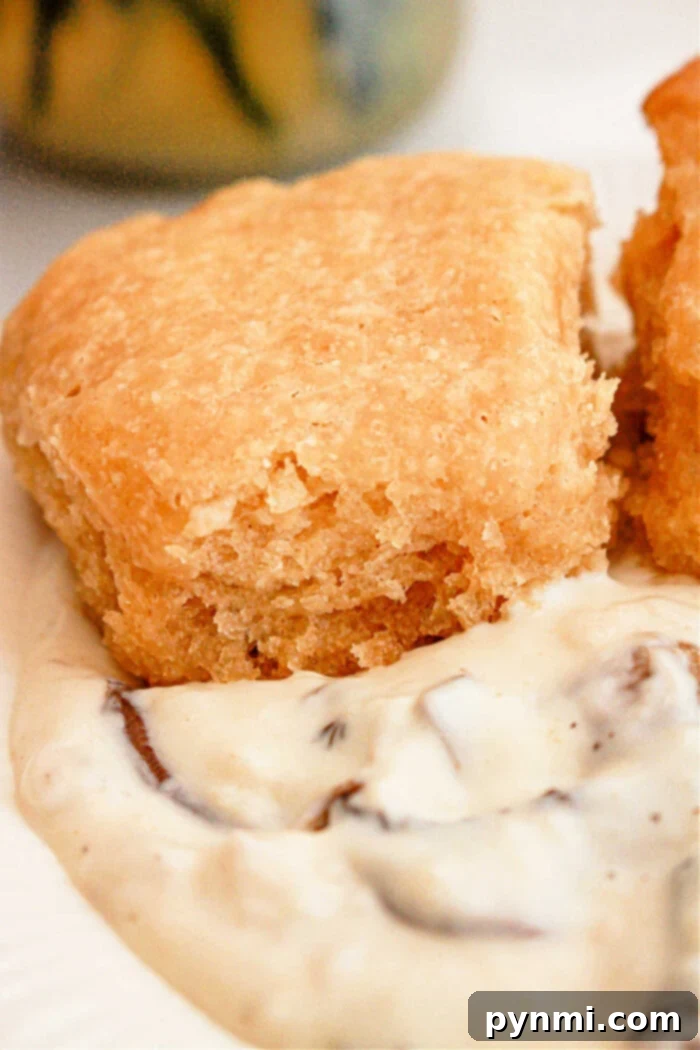 Set-It-and-Forget-It Biscuits and Gravy 8 Close-up of a flaky golden-brown biscuit resting on creamy white mushroom gravy, showcasing the inviting textures of Slow Cooker Biscuits and Gravy, promising comfort in every bite.