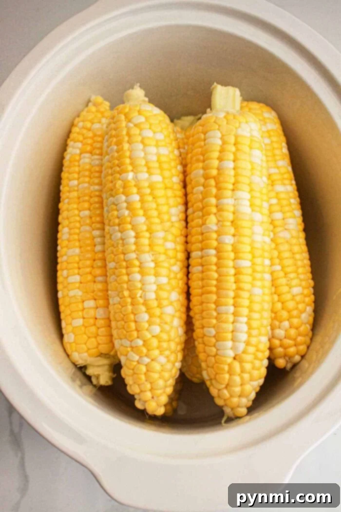 Tender Slow Cooker Corn Perfection 5 Four ears of corn are placed inside a white crockpot. The corn on the cob appears to be fresh with kernels that are a mix of yellow and white. The slow cooker is situated on a light-colored surface.