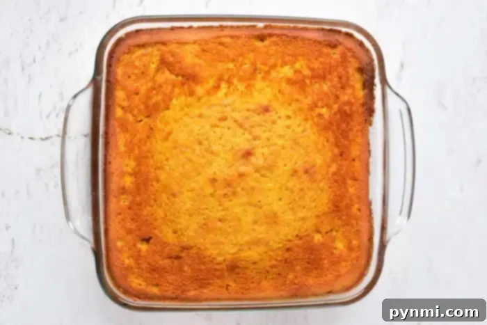 Pumpkin Perfection with Yellow Cake Mix 5 A square glass baking dish containing a freshly baked, golden-brown pumpkin cake with yellow cake mix sits on a light, textured surface. The edges of the cake appear slightly darker and crisp. The pumpkin cake has a smooth, even surface.