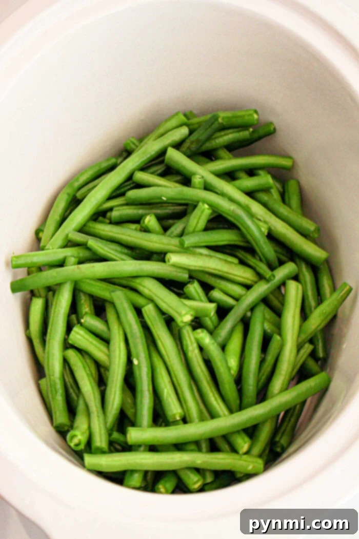 Tender Slow Cooker Green Beans 5 A slow cooker is filled with a pile of raw green beans, freshly cut and vibrant in color, waiting to be prepared or added to your crockpot for a delicious meal.