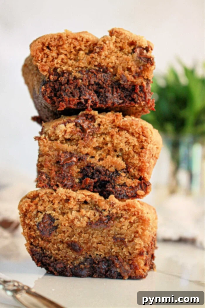 Ultimate Brownie Cookie Dough Brookie Bars 2 Three stacked slices of perfectly baked brookies, showcasing distinct layers of fudgy brownie and chewy chocolate chip cookie, resting on a white surface. The texture appears moist and inviting, with visible melty chocolate chunks. A subtly blurred green plant in the background adds a touch of natural charm to the dessert photography.