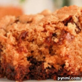 Ultimate Brownie Cookie Dough Brookie Bars 5 Close-up of a moist slice of chocolate chip cookie cake on a white plate, resembling the perfect blend achieved when learning how to make brookies with brownie mix and cookie dough. The golden-brown crust and melted chocolate chips create a deliciously textured and rich appearance.
