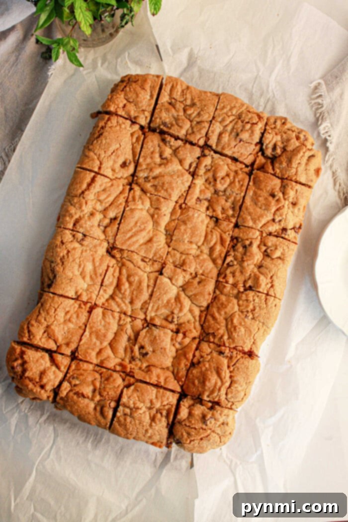Ultimate Brownie Cookie Dough Brookie Bars 6 A large rectangular tray of freshly baked brookies, made with a combination of brownie mix and cookie dough, neatly cut into 24 uniform squares. The brookies are displayed on a sheet of parchment paper, showcasing their inviting golden, slightly cracked surface. In the background, a small green plant and a soft beige cloth subtly enhance the homey and appetizing scene.