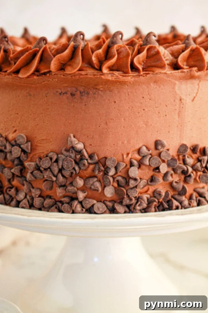 A decadent two-tier chocolate brownie cake, crafted with a rich brownie mix, is adorned with elegant swirled frosting and a generous scattering of chocolate chips along its sides, elegantly presented on a pristine white cake stand.