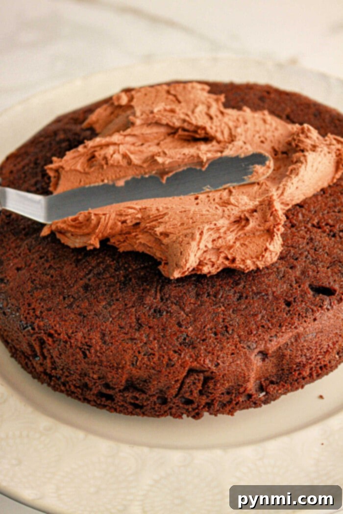 A skilled hand uses an offset spatula to gracefully spread a generous layer of creamy chocolate frosting over a perfectly baked round brownie cake, which was crafted from a rich brownie mix, all resting invitingly on a pristine white plate, ready for the next layer.