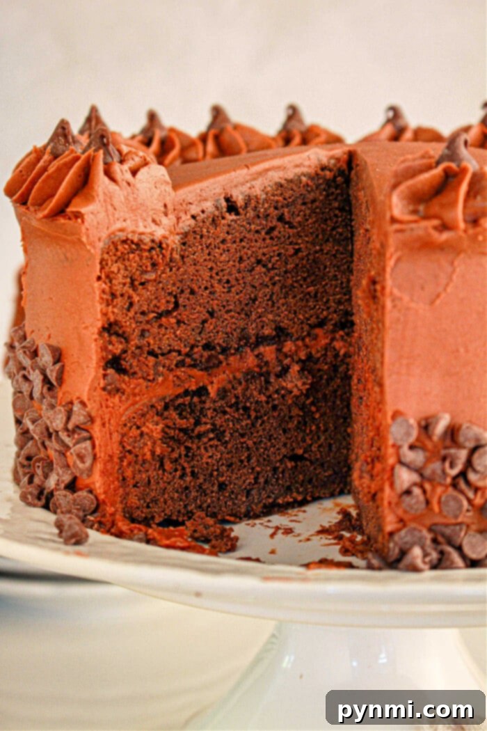A perfectly baked individual slice of rich brownie cake, crafted from a premium brownie mix, topped with creamy chocolate frosting and a sprinkle of mini chocolate chips, rests on a delicate white serving plate.
