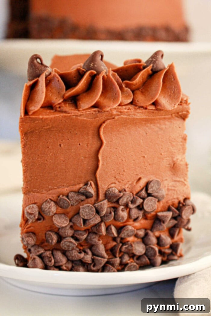 An inviting close-up of a delectable slice of brownie cake, made from rich brownie mix, beautifully adorned with generous swirls of chocolate frosting and scattered chocolate chips, presented on a pristine white plate, ready to be enjoyed.