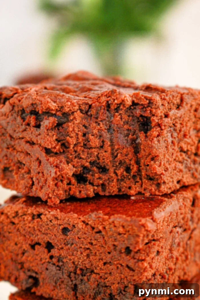 Secret Ingredient Chocolate Black Bean Brownies 2 Close-up of two stacked black bean brownies made with brownie mix with a soft, crumbly texture, perfectly showcasing the rich mix of flavors.