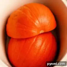 Two large, orange pumpkin halves placed inside a white slow cooker. The pumpkins appear fresh and slightly wet, fitting snugly within the cooker. The image suggests preparation for cooking or steaming the pumpkin in a slow cooker.