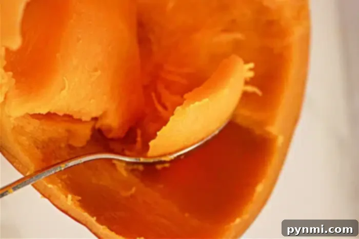 Crockpot Pumpkin Perfection 6 A close-up image of a spoon scooping out the flesh of a halved, cooked butternut squash resembles the texture of pumpkin in a slow cooker. The orange flesh appears smooth and soft, with the background tastefully out of focus.
