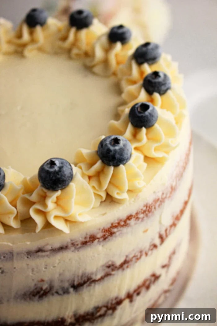 Easy Blueberry Muffin Cake 2 A luscious two-tiered cake crafted with blueberry muffin mix, beautifully adorned with frosted blueberries and elegant cream swirl decorations.