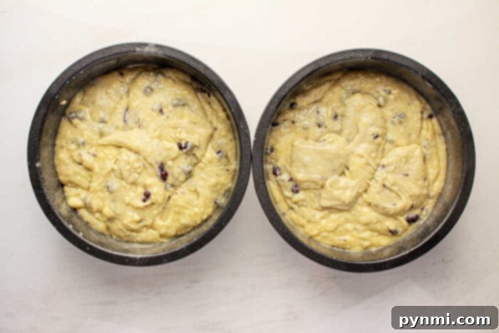 Easy Blueberry Muffin Cake 4 Two round baking pans precisely filled with raw, blueberry-speckled muffin mix batter, ready for baking into a stunning two-tiered cake.