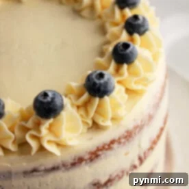 A luscious cake crafted with muffin mix, topped with frosted blueberries and cream decorations.