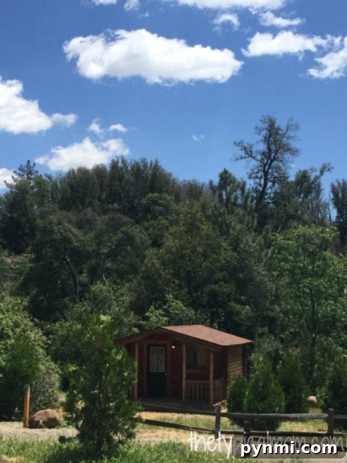 Julian California A Golden Slice of Apple Country 3 A serene view of William Heise County Park with rustic cabins nestled among tall trees, ideal for a peaceful getaway.