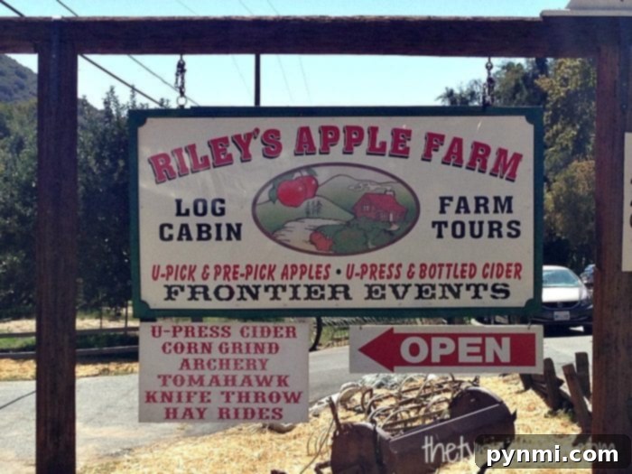 Discover the Beauty of Riley's Farm: A Historic Apple Orchard in Oak Glen, SoCal Panoramic view of Riley's Farm in Oak Glen, Southern California, featuring historic buildings and scenic landscapes under a blue sky.