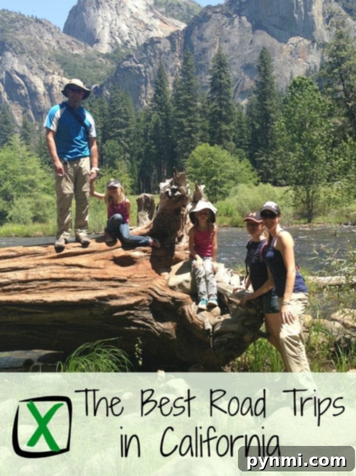 California Coastal Road Trip Scenic coastal highway in California, perfect for road trips