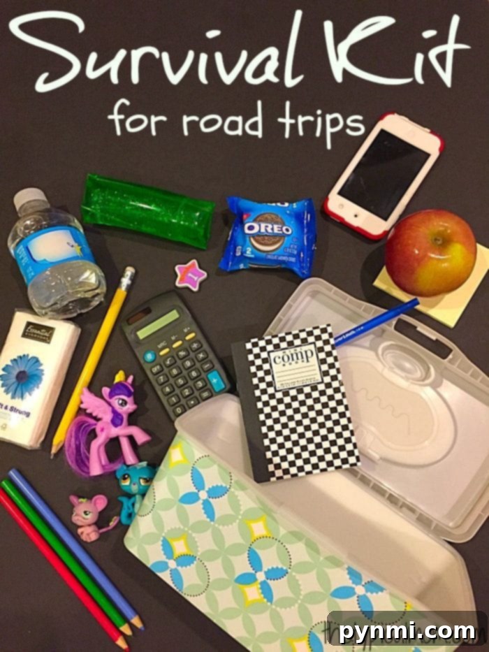 Organized Road Trip Busy Bags: Kids' Travel Essentials Variety of road trip busy bags for different age groups