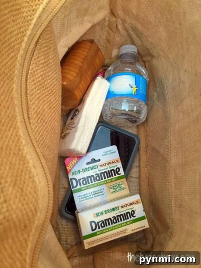 Dramamine Non-Drowsy Naturals for effective motion sickness prevention