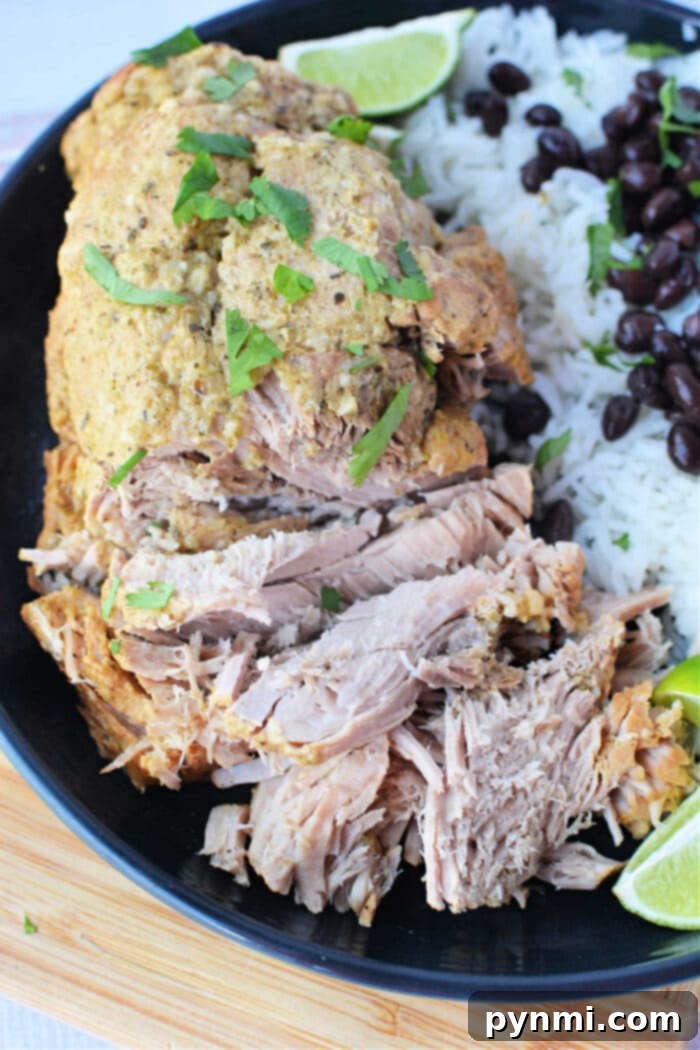 Savor shredded pork with herbs, paired perfectly with white rice and black beans, all garnished with lime wedges on a black plate—an exquisite roast recipe for any culinary enthusiast.