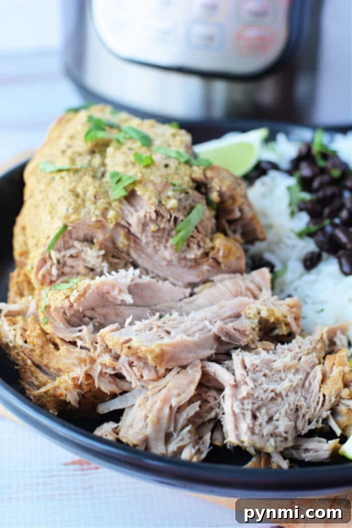 A delightful recipe featuring shredded pork sirloin roast in green sauce, elegantly served with rice, black beans, and lime wedges on a sleek black plate.
