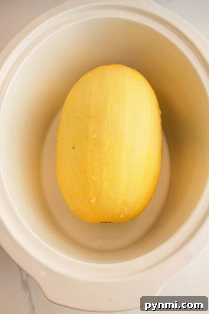A whole slow cooker spaghetti squash nestles perfectly inside a white slow cooker, ready to transform into a delectable dish.