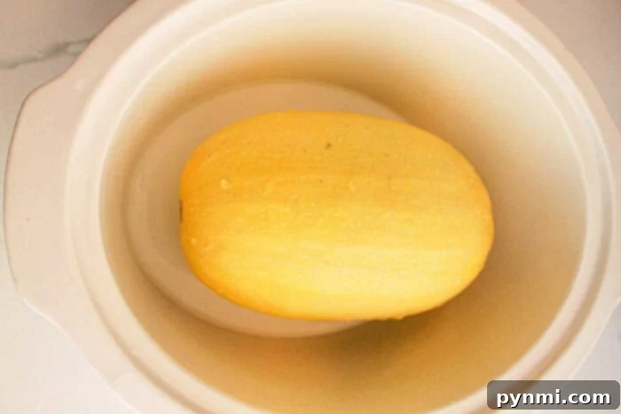 A whole slow cooker spaghetti squash sits in a white slow cooker, ready for cooking.