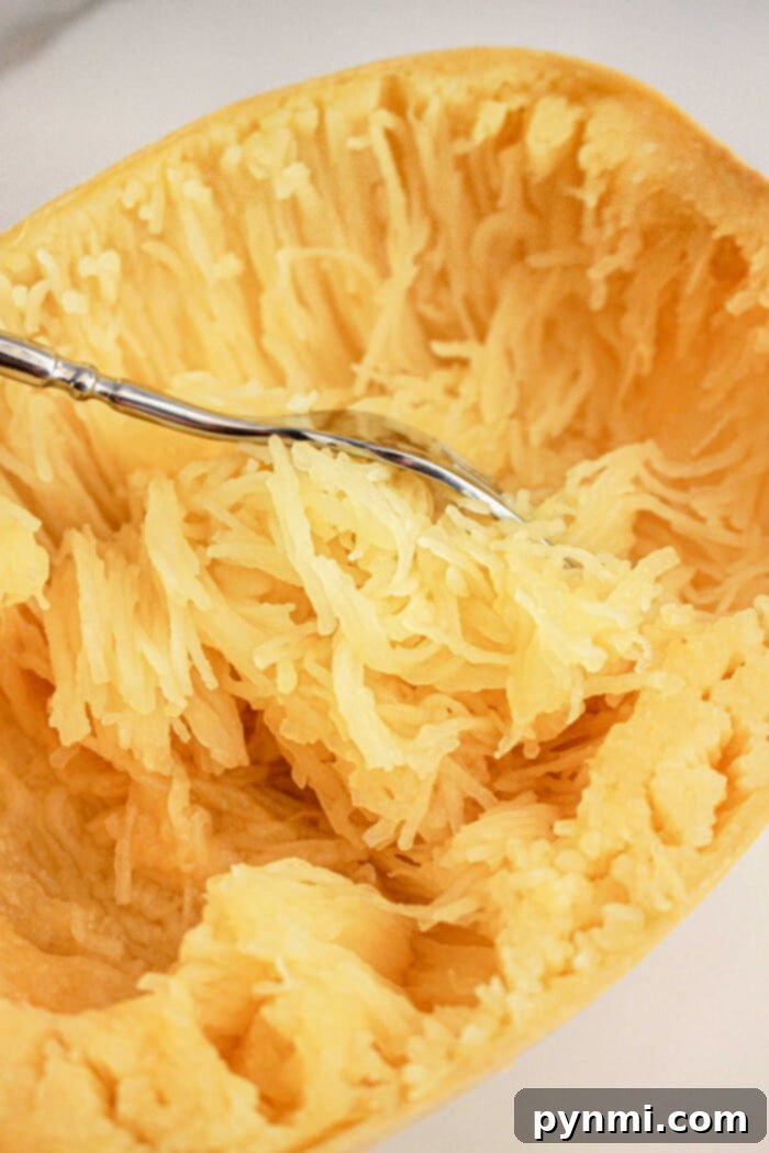 Using a fork, gently scrape spaghetti squash strands inside a halved squash shell, effortlessly prepared in the slow cooker for a tender and flavorful meal.