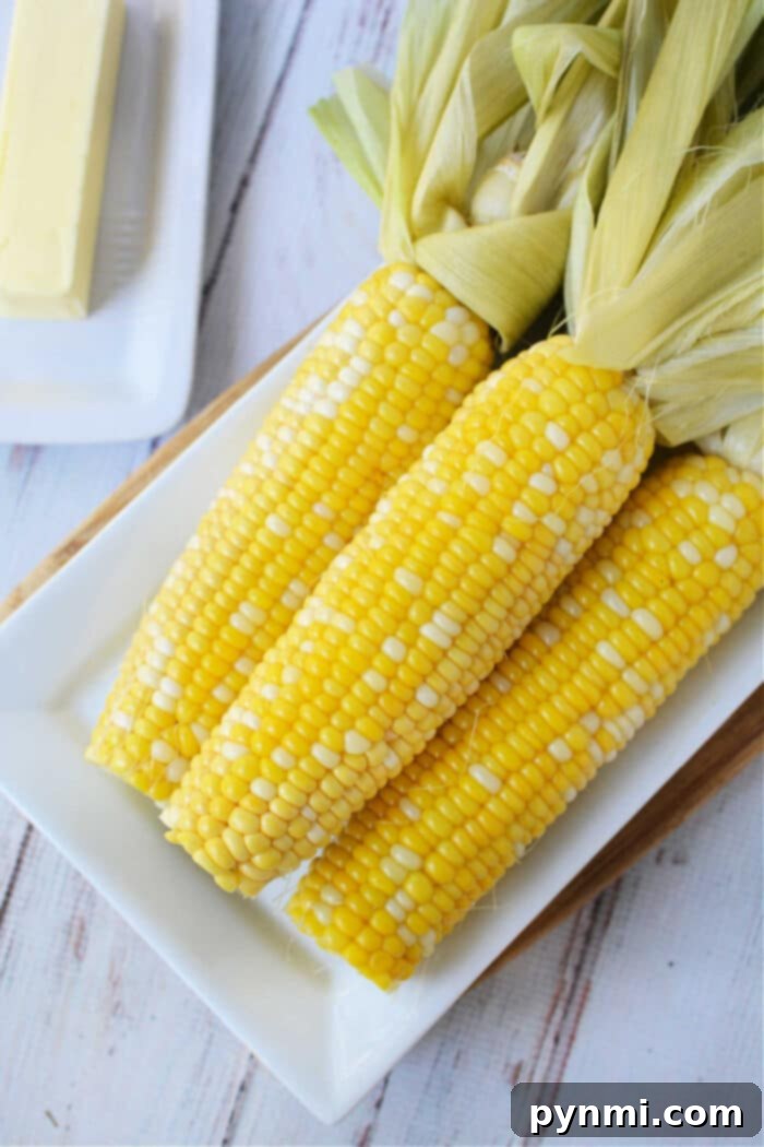 Three ears of corn, nestled with their husks on a white plate, await their transformation into buttery perfection. In the background, the butter stands ready to enhance this savory delight. Perfectly cooked corn on the cob is just moments away from the ovens gentle warmth.