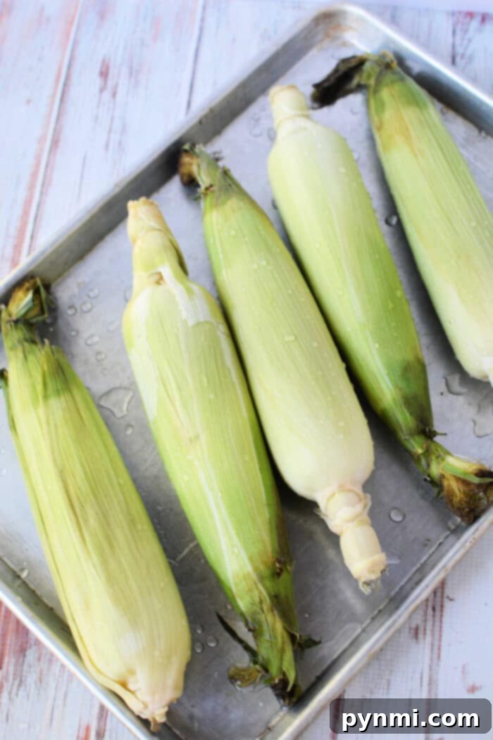 Five ears of corn with husks rest on a metal baking tray, ready for oven cooking perfection.