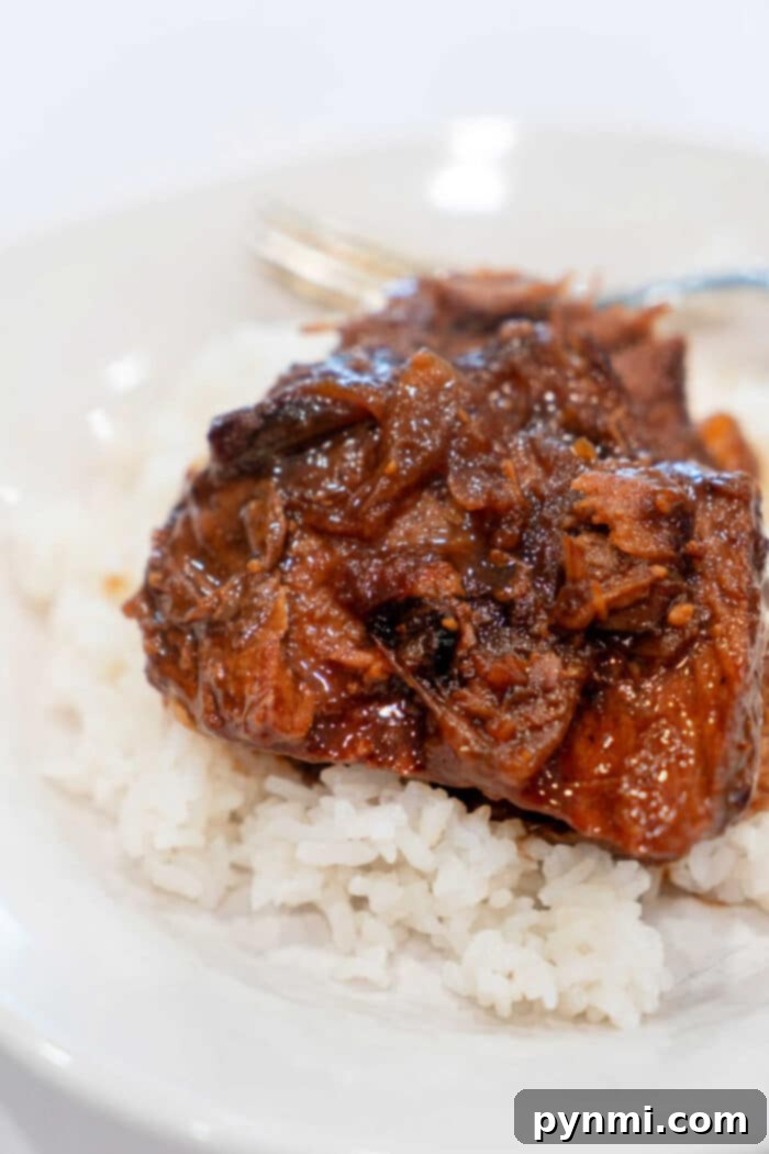 A plate of fragrant white rice topped with braised meat and roasted onions in a rich, dark sauce.