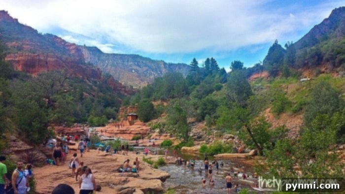 Experience the natural wonders of Slide Rock State Park: a guide to swimming, sliding, and family fun in Sedona's unique red rock canyon. Families enjoying the natural water slides and swimming holes at Slide Rock State Park in Sedona, Arizona with red rock backdrop