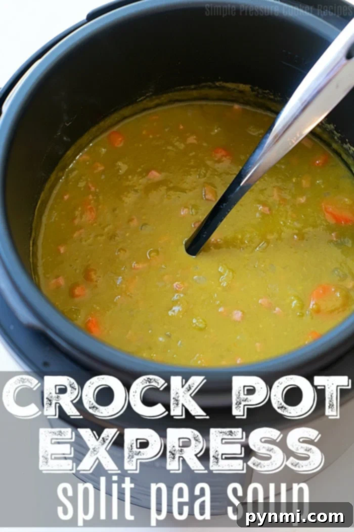 Effortless Express Split Pea Soup 2 Hearty Crock Pot Express split pea soup, garnished and ready to serve.