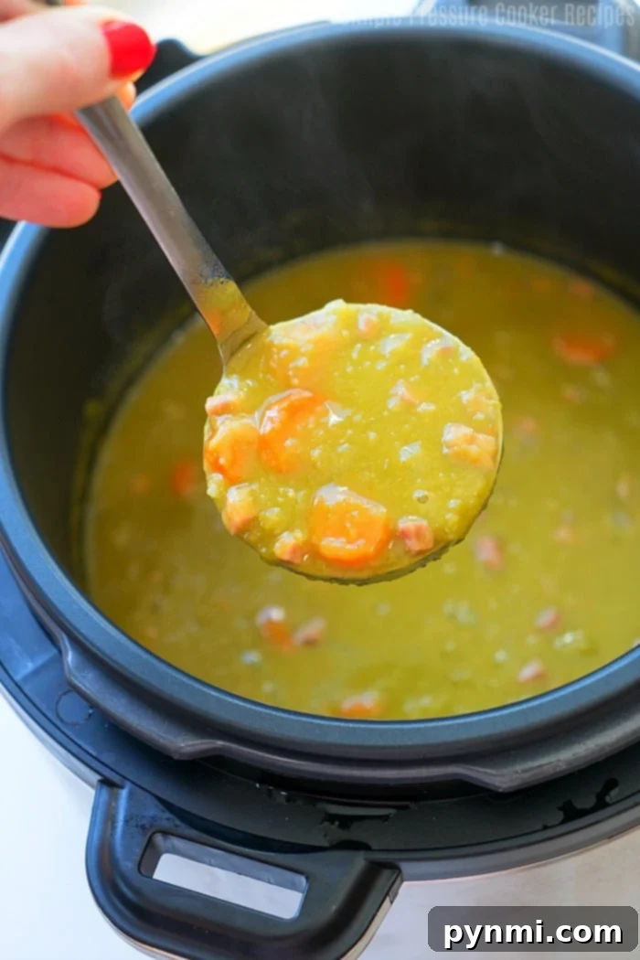 Effortless Express Split Pea Soup 4 Ladle of Crock Pot Express split pea soup, showing off its rich texture and ingredients.