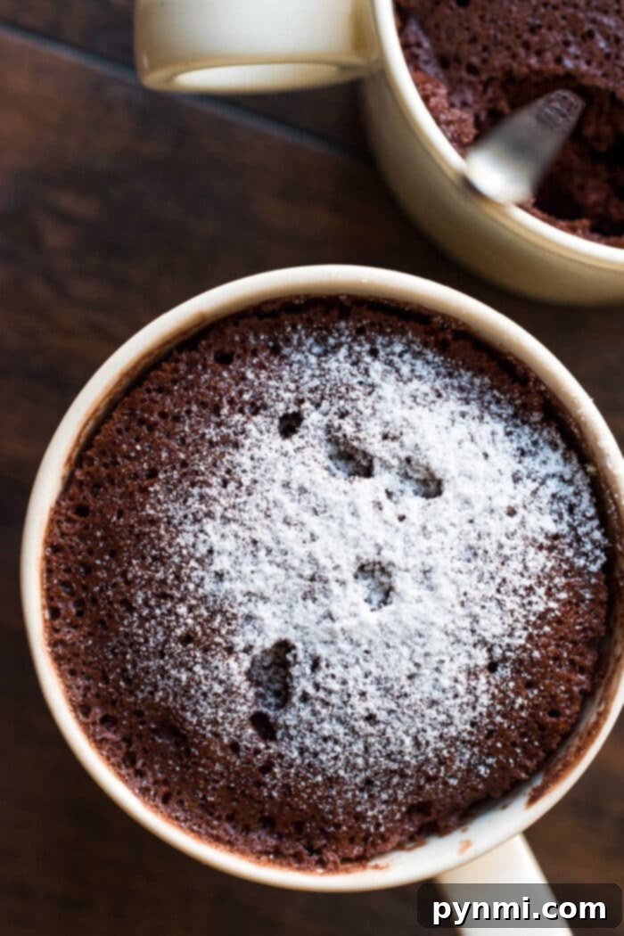 A homemade chocolate chip mug cake, rich with chocolate chips and a tender crumb, ready to be enjoyed.