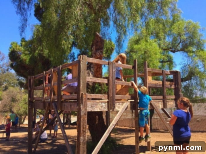 Children engaging in creative building activities with wood and tools at Huntington Beach Adventure Playground.