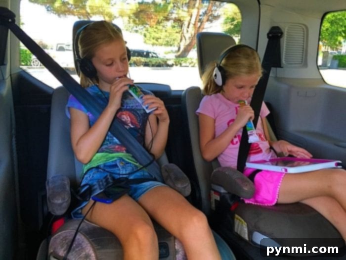 Kids enjoying a variety of portable snacks, including Gogurt, during a family outing.