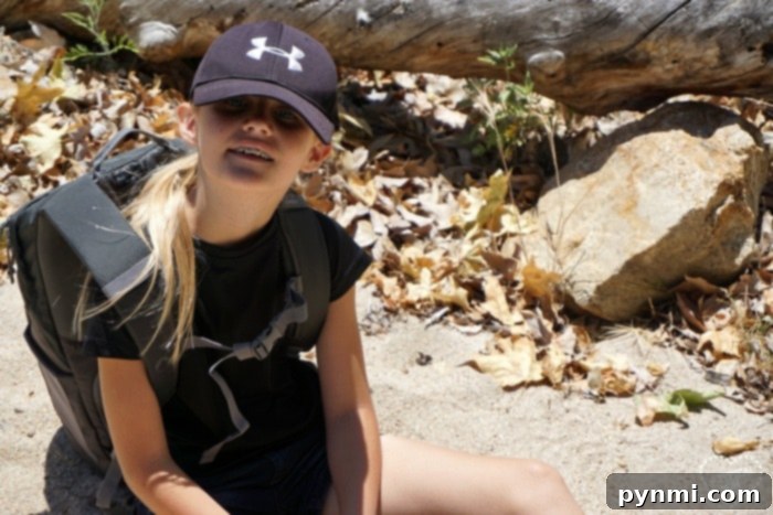 Family hiking with kids on a nature trail, enjoying outdoor activities during a summer staycation.
