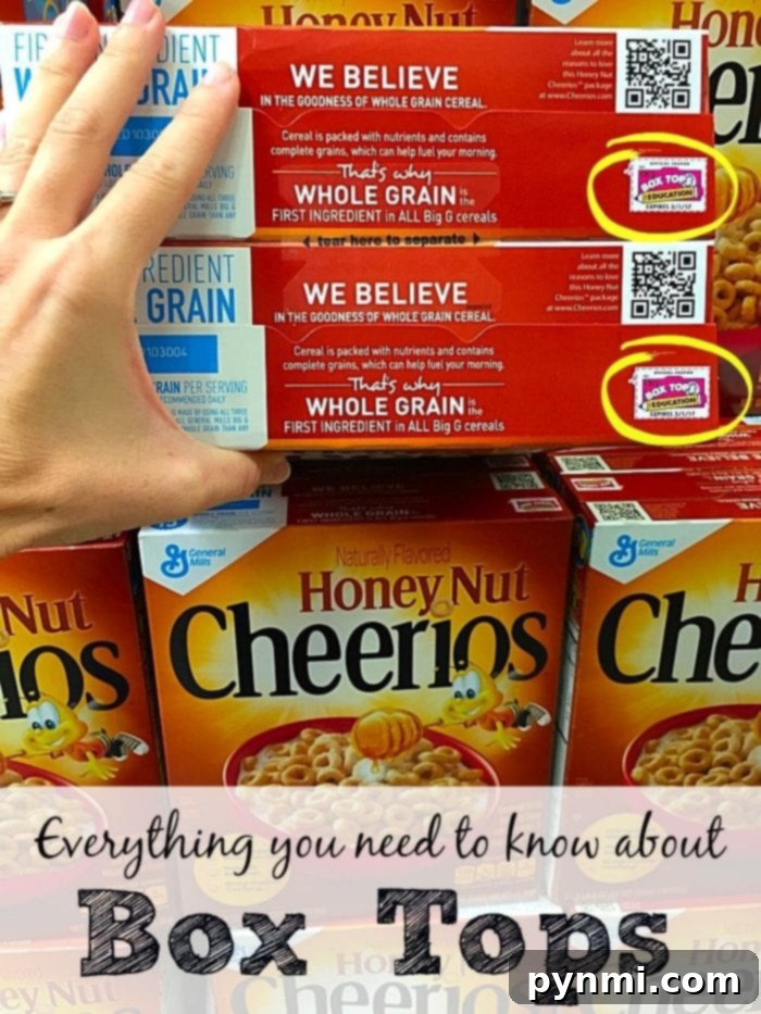 A collection of Box Tops for Education logos and packaging, highlighting the opportunity to earn money for schools through everyday purchases.
