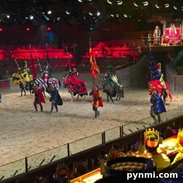 Family Fun at Medieval Times Buena Park Review