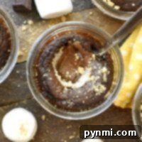 S'mores in a jar: glass jars filled with smores lava cake, topped with melted chocolate and marshmallows, all presented on a rustic wooden surface.