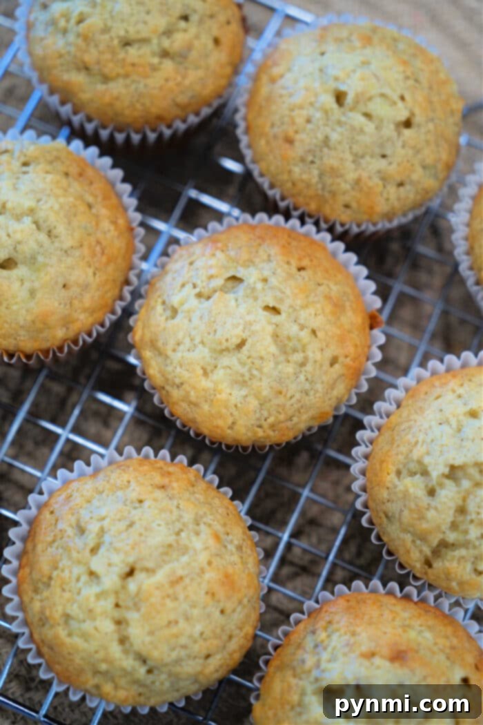 Easy Banana Muffins 2 Freshly baked banana muffins in paper liners cooling on a wire rack—perfect for trying out your favorite banana muffin recipe.