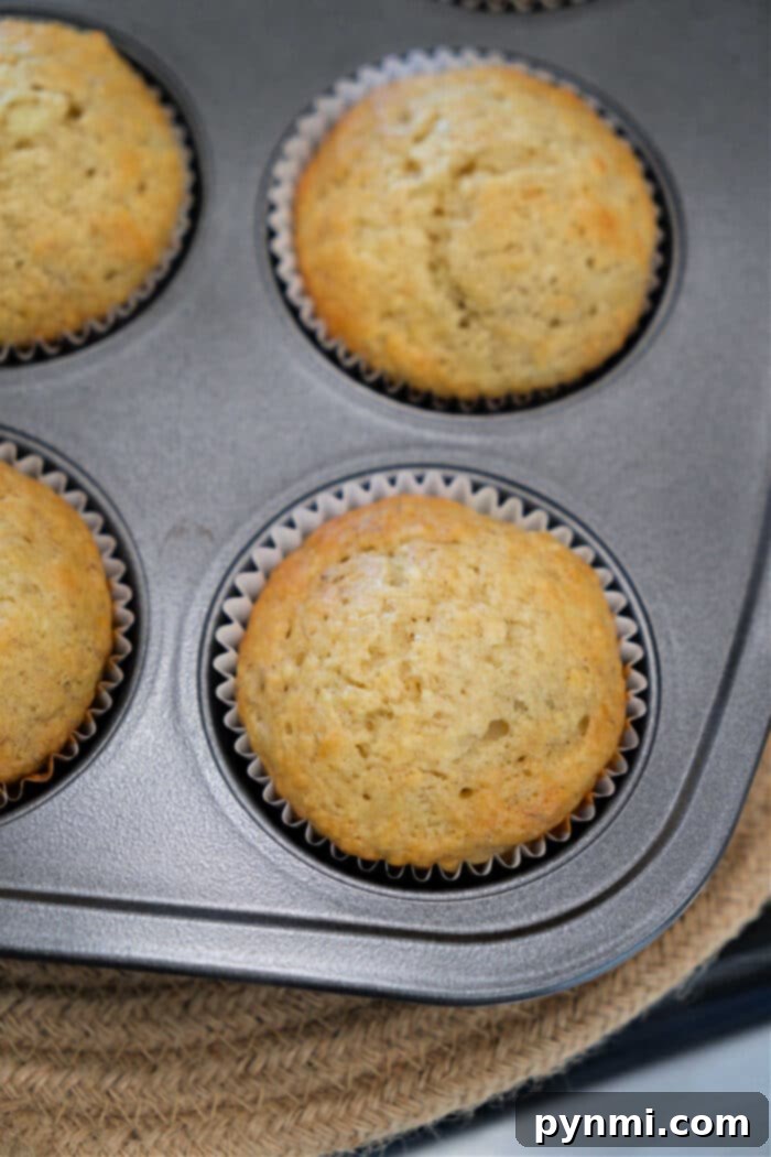 Easy Banana Muffins 4 Freshly baked banana muffins in paper liners sit inside a metal muffin pan, ready to enjoy with your favorite banana muffin recipe.