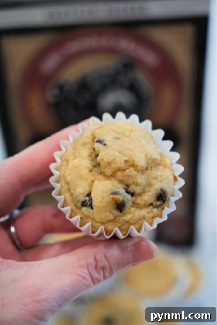 Wholesome Banana Power Muffins 2 A hand holding a Kodiak banana chocolate chip muffin in a white paper liner, with more banana muffins and a box in the background.
