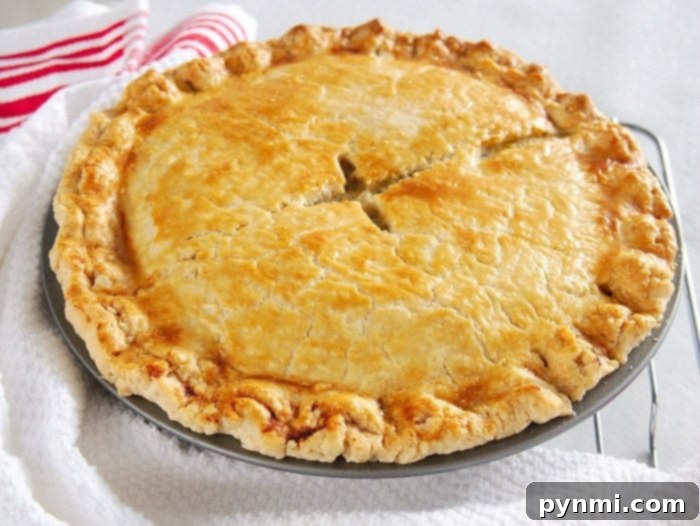 Simple Chicken Pot Pie Recipe