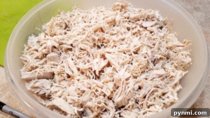 shredded chicken recipe
