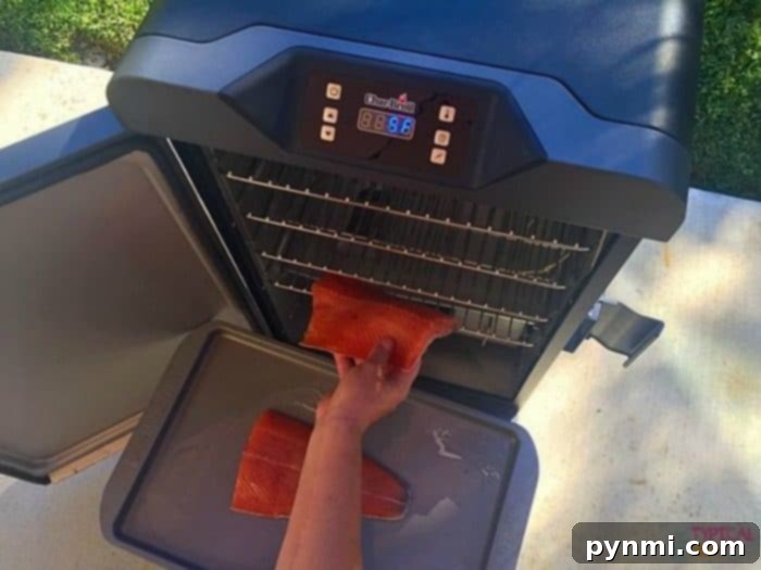 Electric Smoker Recipes