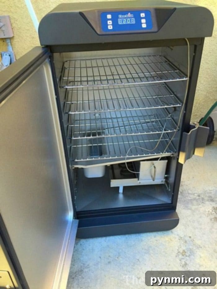 Electric Smoker Recipes 2