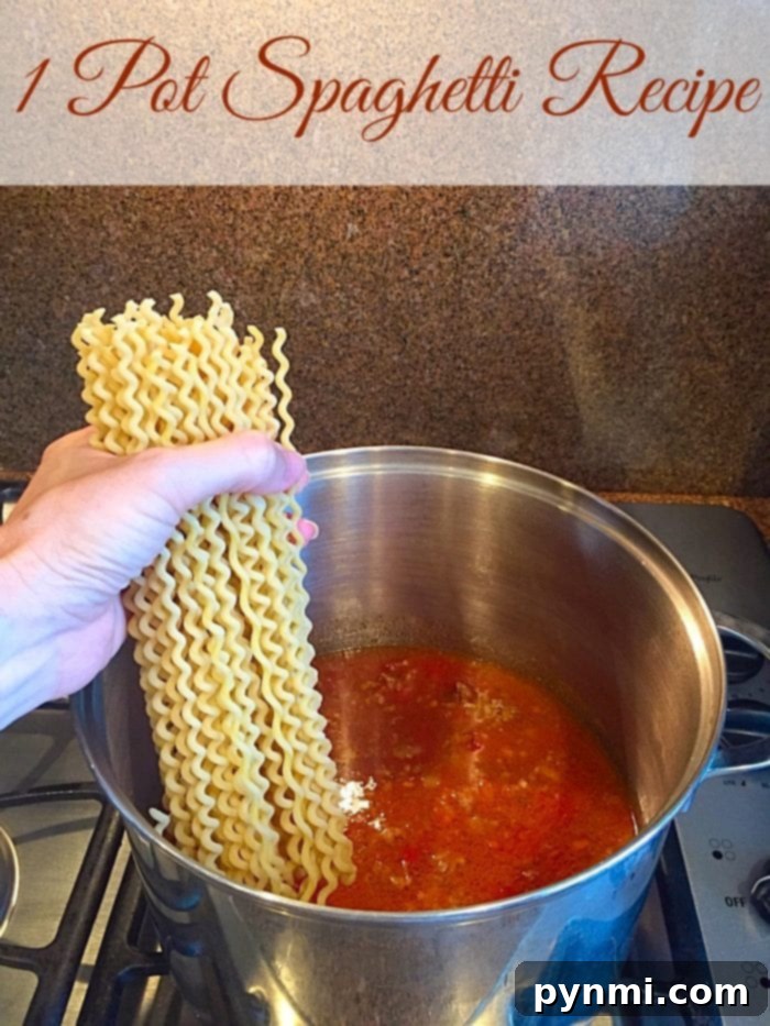 EASY one pot spaghetti recipe! Simple clean up and is done start to finish in 20 minutes...my kids love this one! A large pot filled with steaming, ready-to-eat one-pot spaghetti, garnished with fresh herbs.