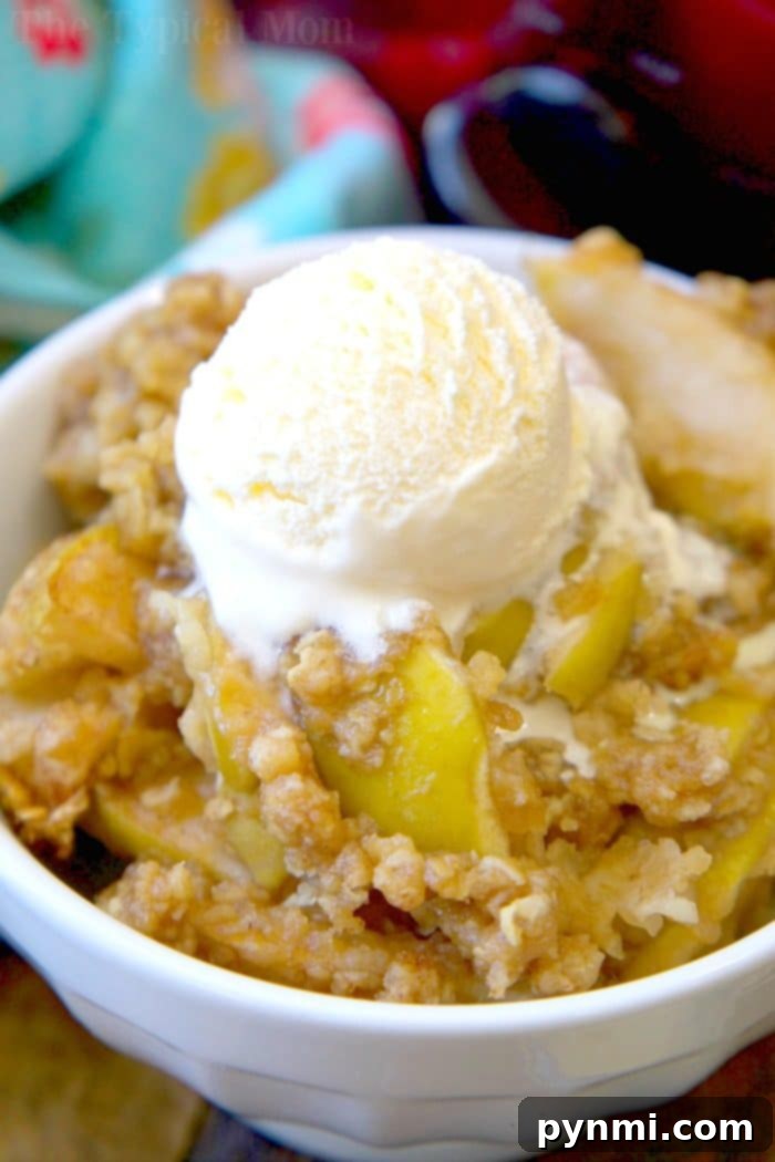 Crockpot apple crisp pie is amazing! It tastes like the warm apple pie filling without the crust and cooked in your slow cooker, easy! #applecrisp #crockpot #slowcooker #pie #dessert #fruit #breakfast #crockpotrecipes #crockpotapplecrisp #thetypicalmom Delicious Crockpot Apple Crisp topped with oat crumble, ready to serve.
